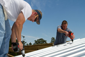 Construction roofing crew uses power tools to screw and fasten sheet metal to the roof rafters of a building.