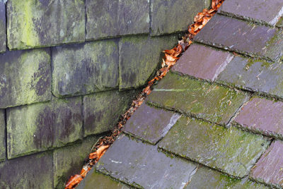What causes mold on my roof