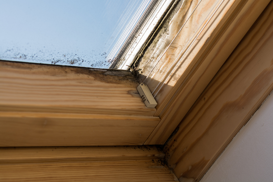 5 Reasons Your Skylight Could Be Leaking