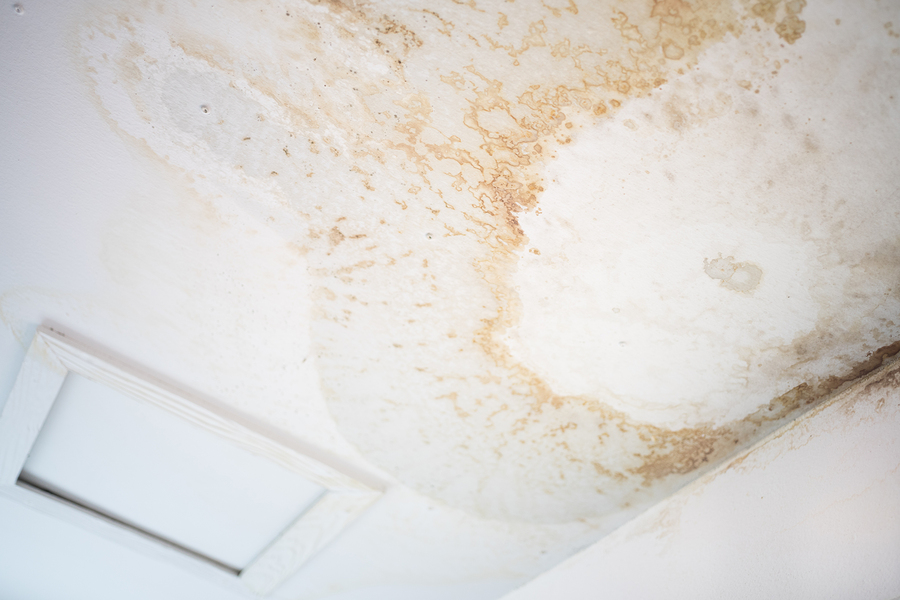 Leaky Roof Now What!
