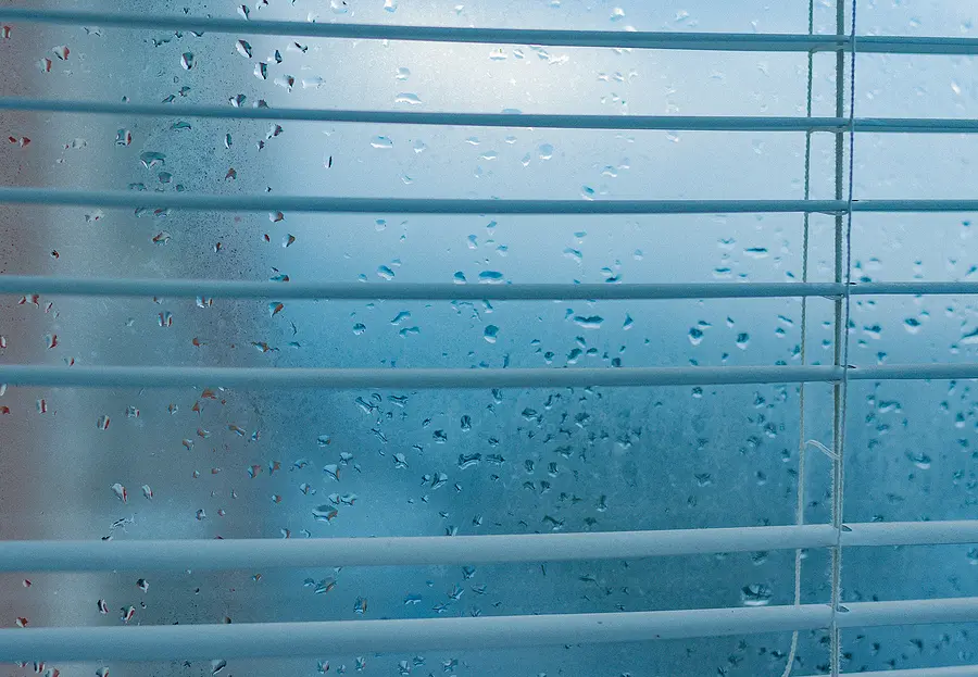 Window Condensation: What it Means and What to Do About It Post Thumbnail